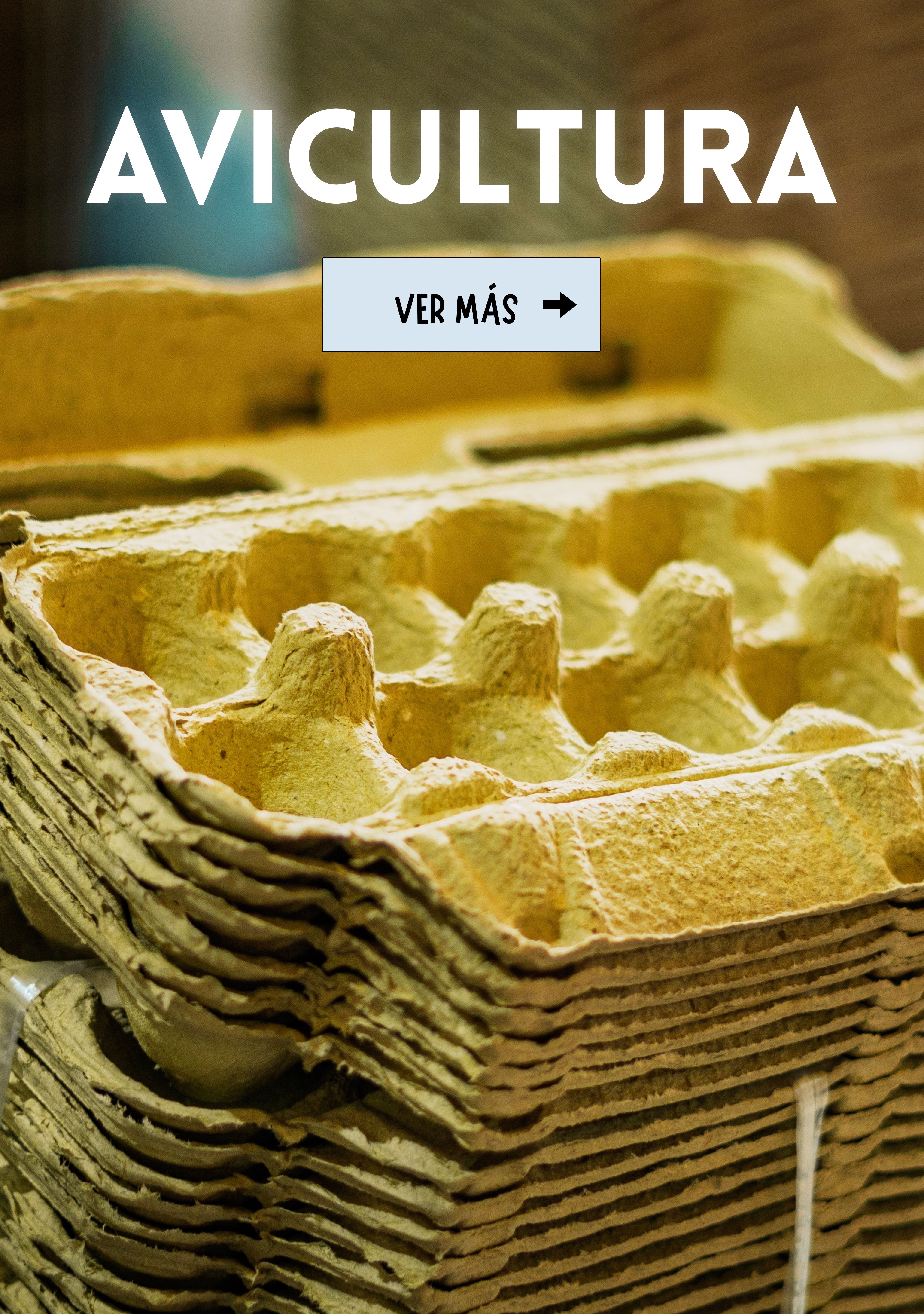 Odoo - Prueba 1 a tres columnas